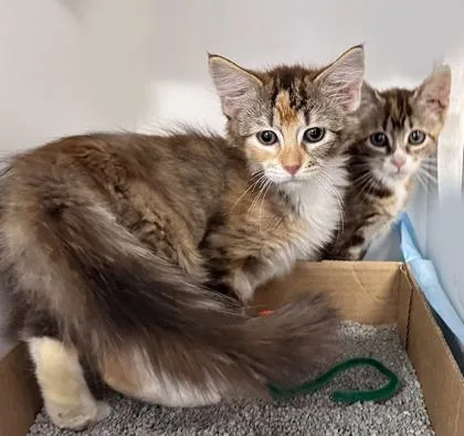 Cincinnati thumbnail 2