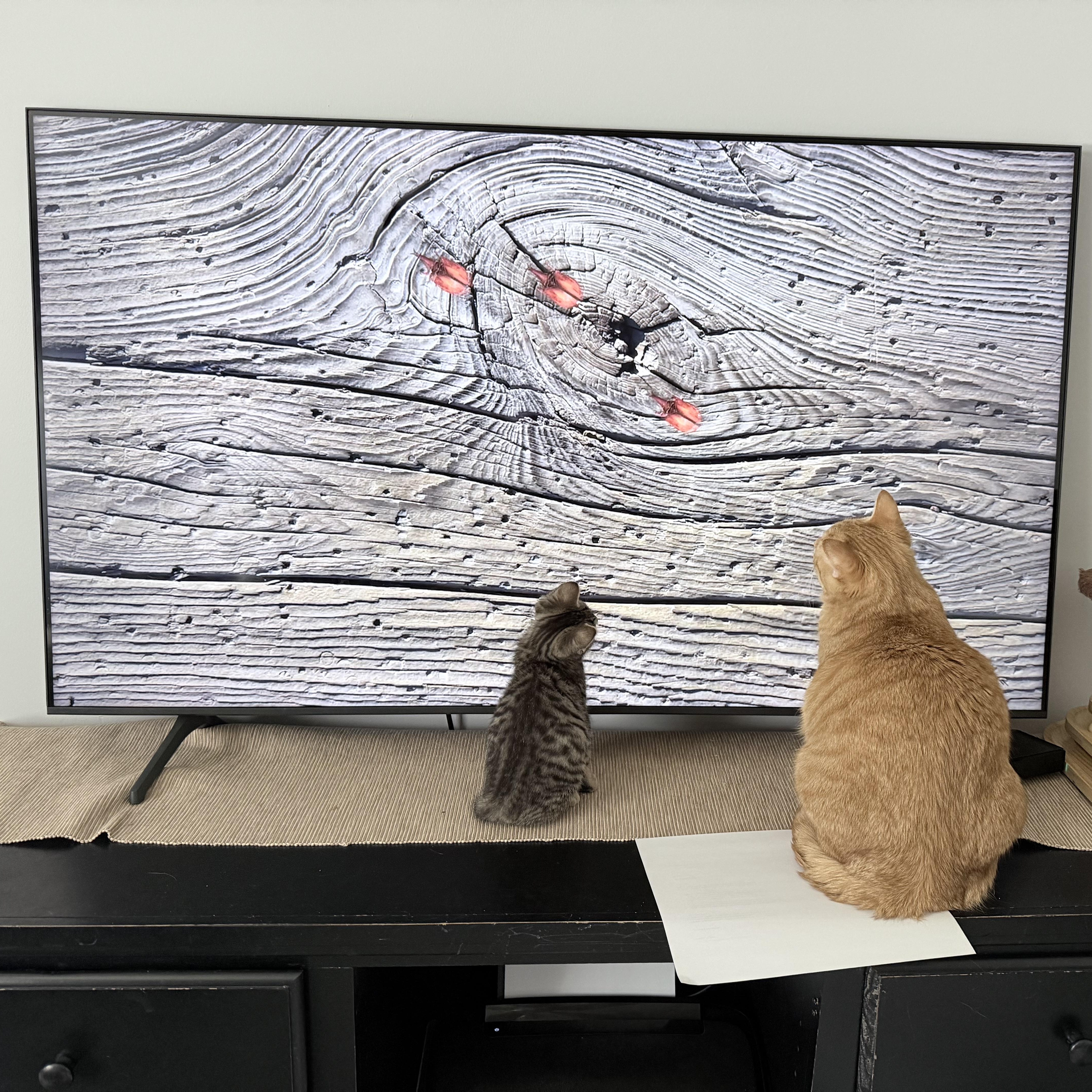 Twinkle & Sparkle thumbnail 3