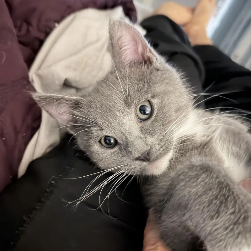 Twinkle & Sparkle thumbnail 4