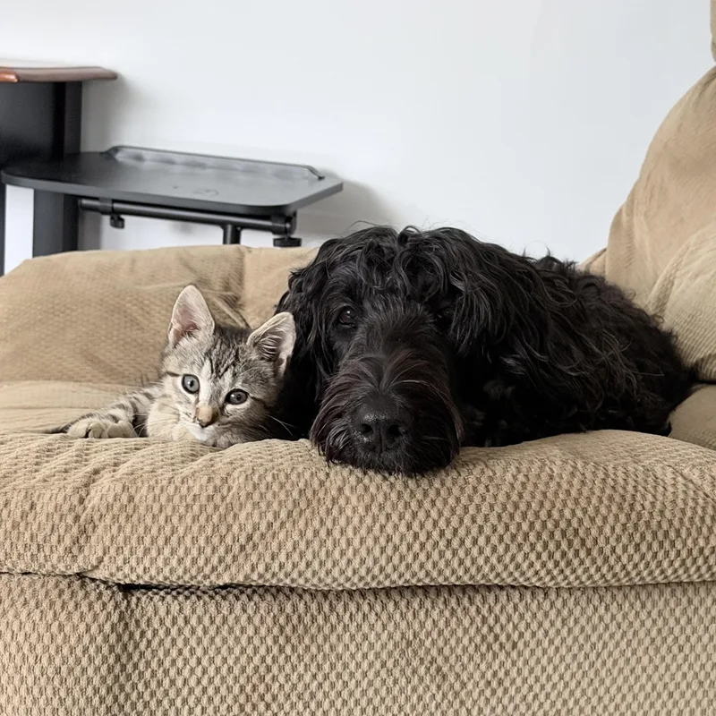 Twinkle & Sparkle thumbnail 5