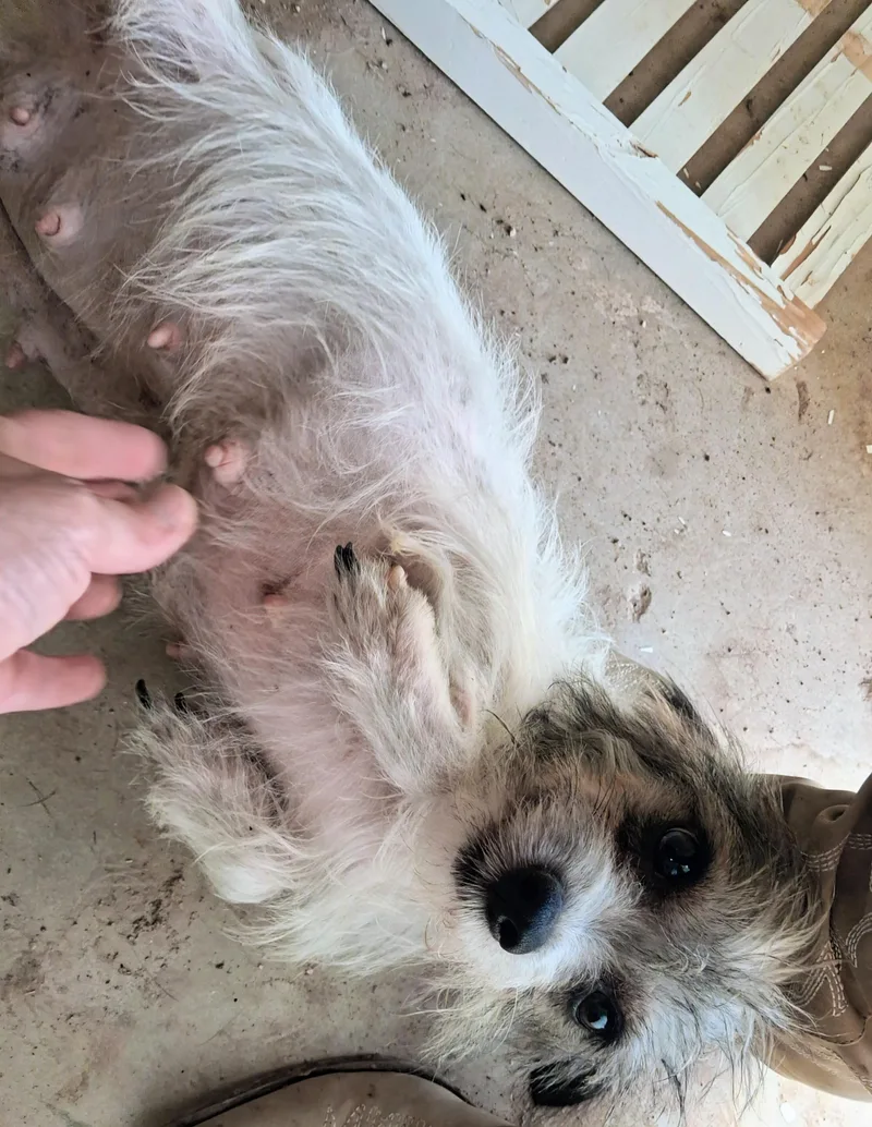 Roxy thumbnail 2