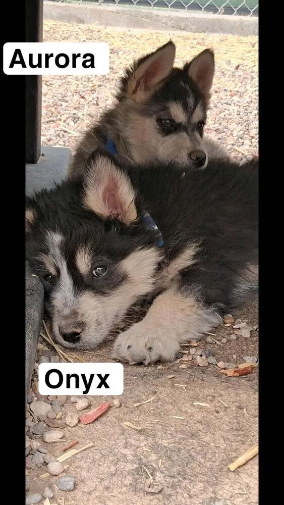 Onyx