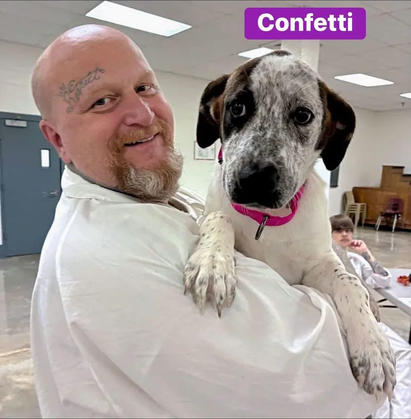 Confetti thumbnail 4