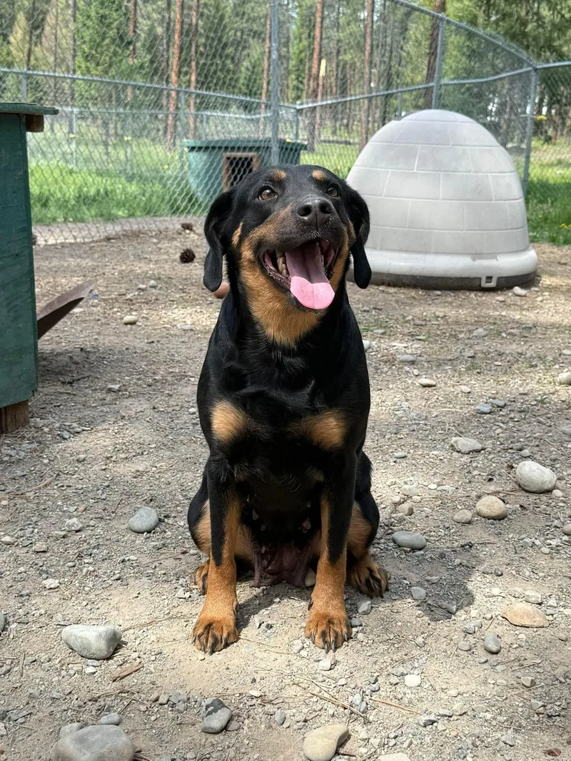 Roxy
