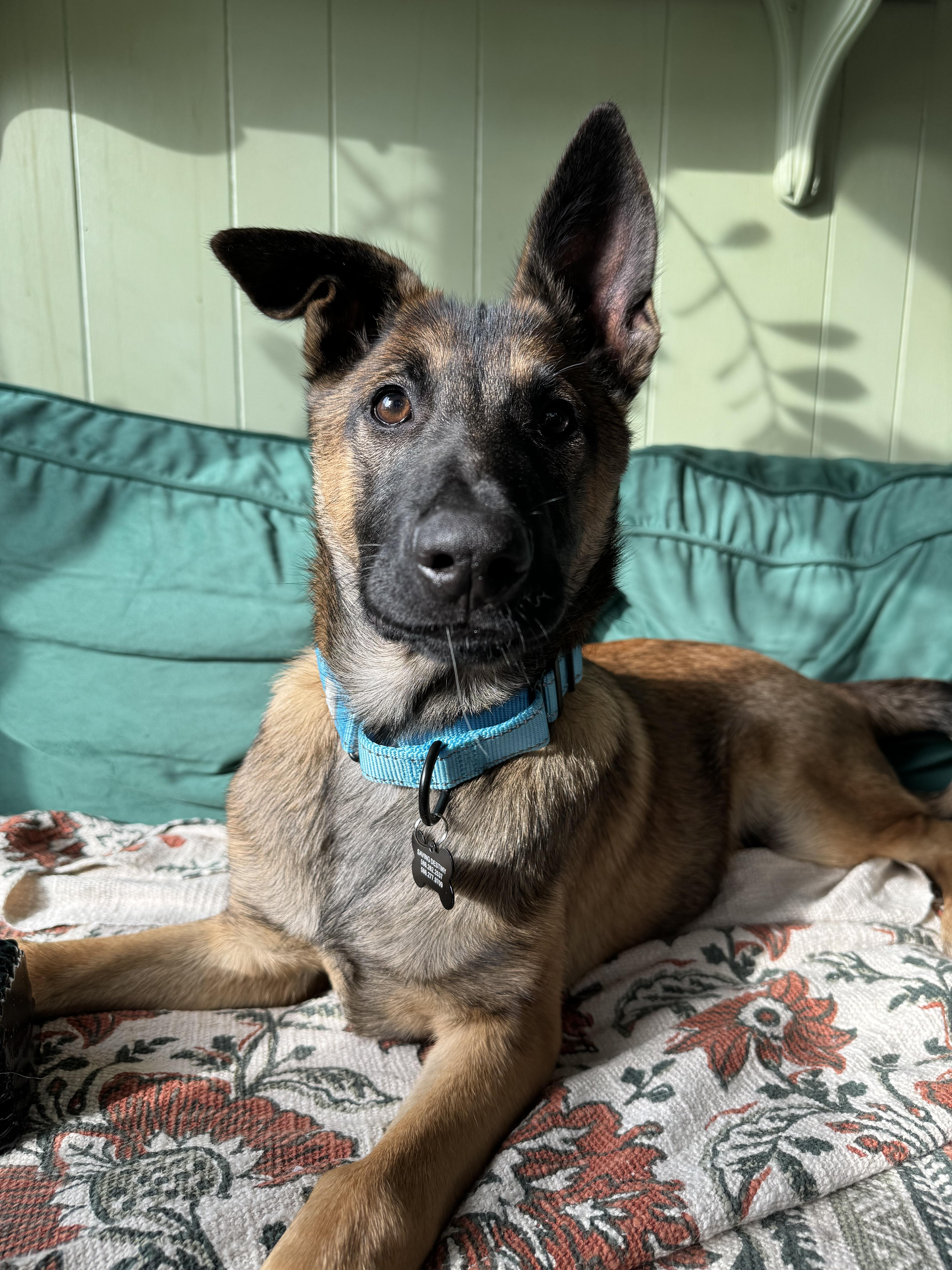 Mika