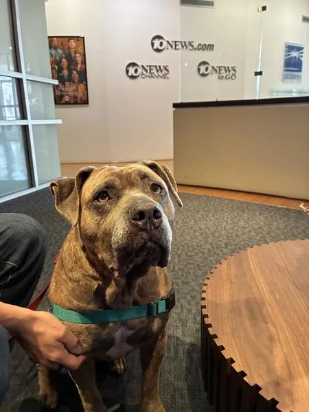 Precious thumbnail 2