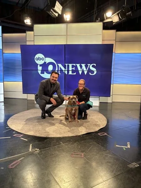 Precious thumbnail 4