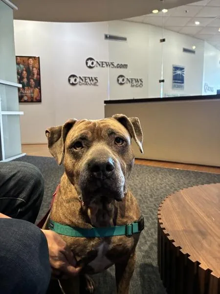 Precious thumbnail 6