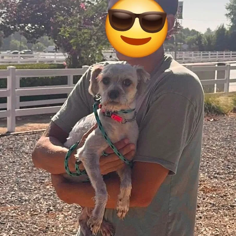 Chato Costa Mesa