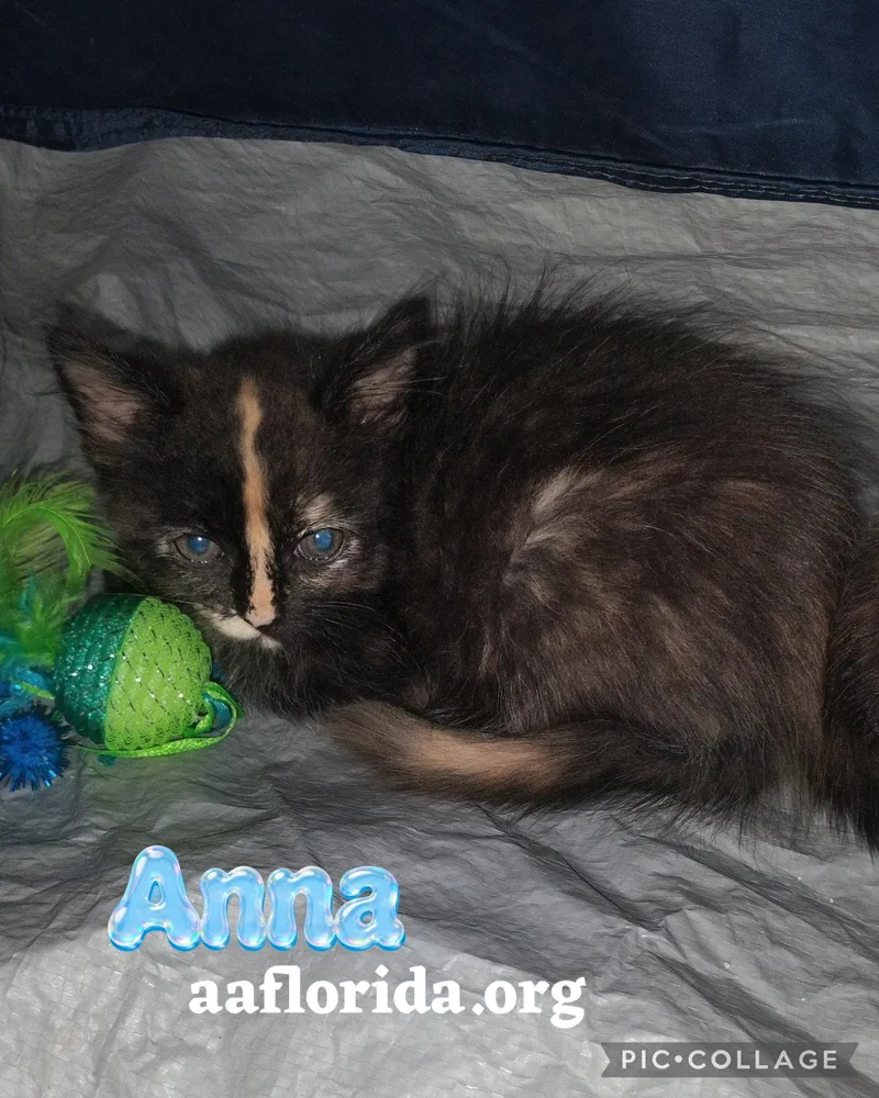 Anna thumbnail 2