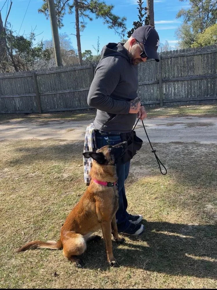 Moon  Located In thumbnail 4