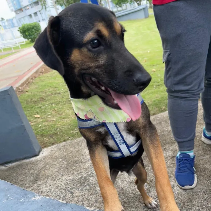 Arnold "our Time Is thumbnail 2