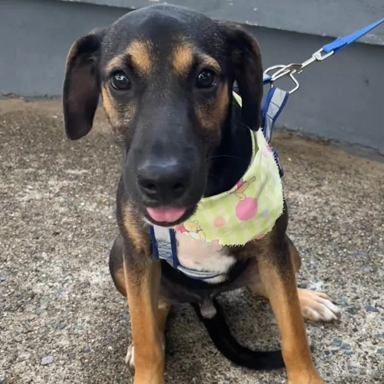 Arnold "our Time Is thumbnail 3