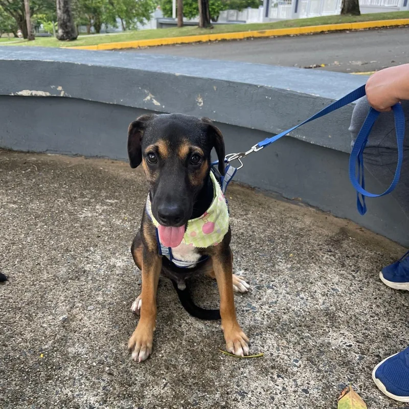 Arnold "our Time Is thumbnail 4