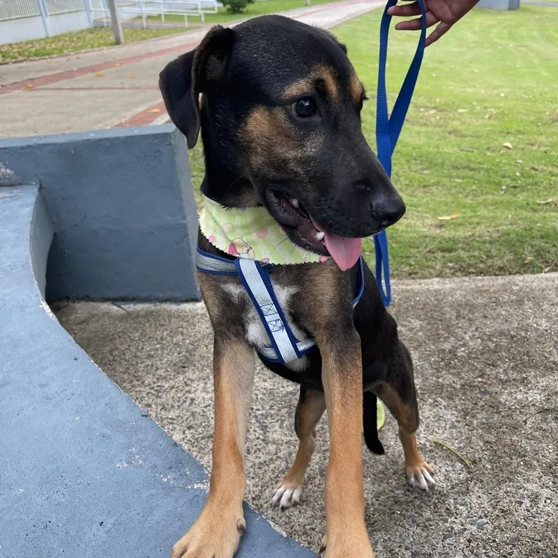 Arnold "our Time Is thumbnail 5