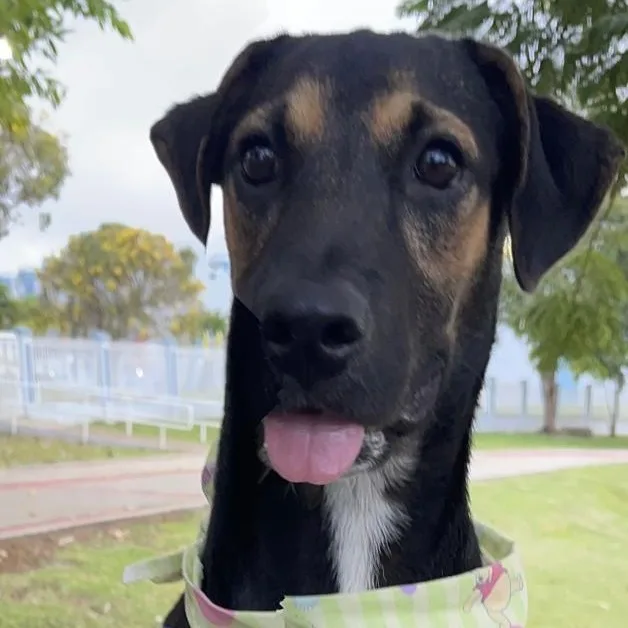 Arnold "our Time Is thumbnail 6