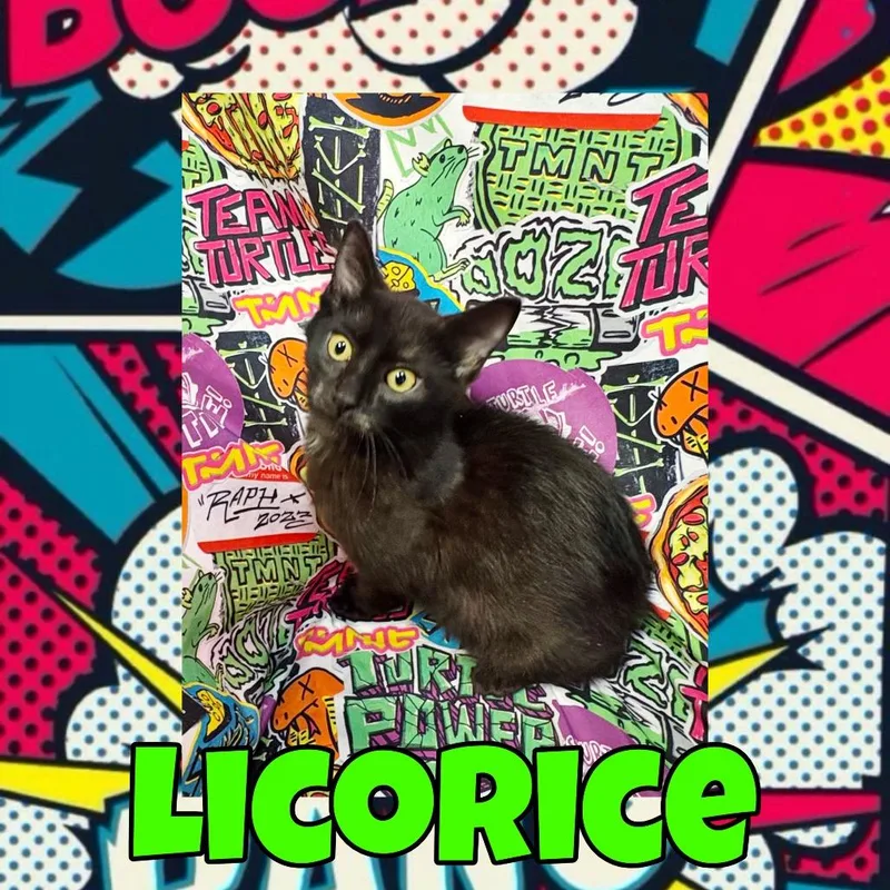 Licorice