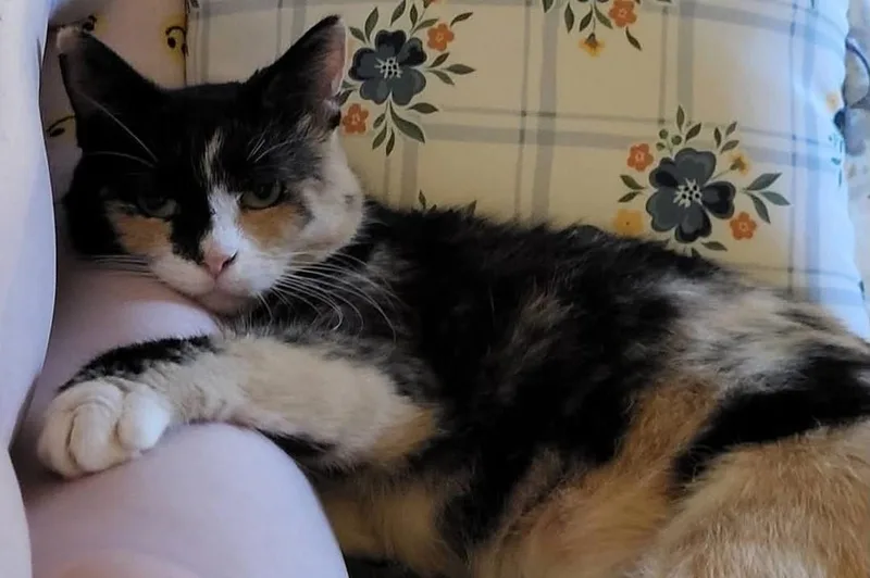 Chloe thumbnail 2
