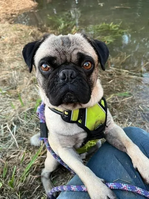 Jack
