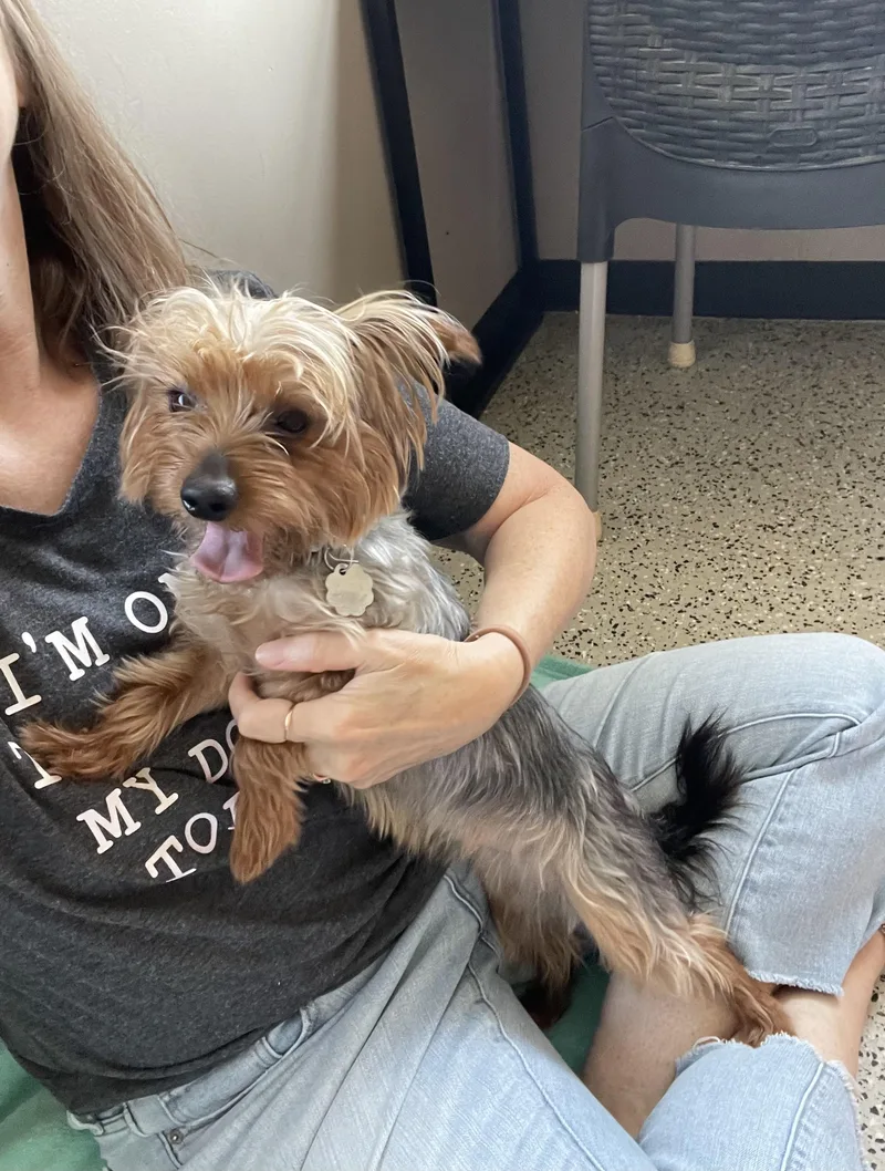 LIzzy thumbnail 3