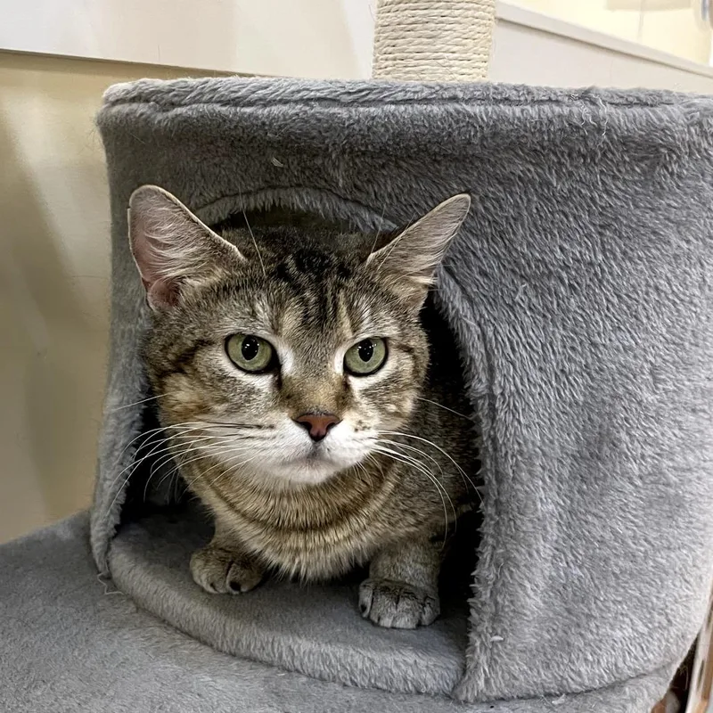 Mama Kass thumbnail 3