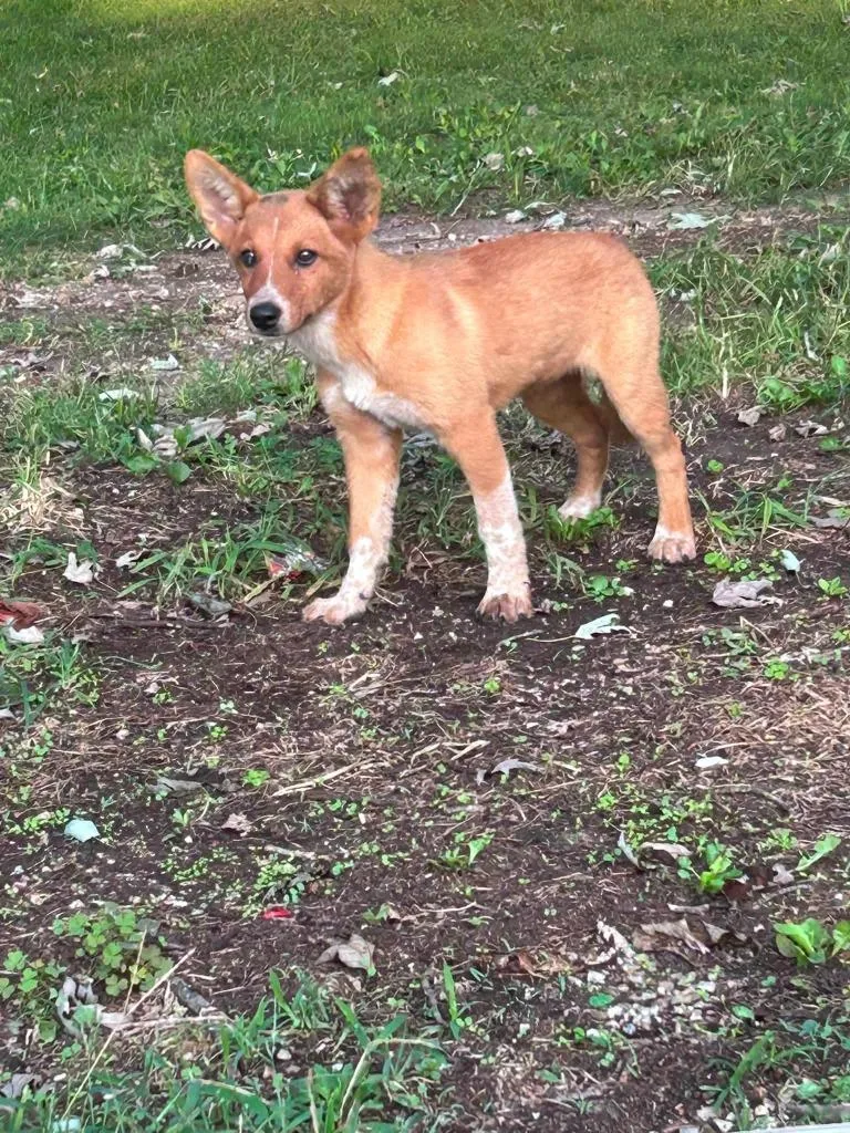 Booger Butt