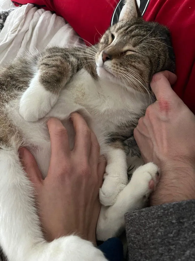 Cappuccino thumbnail 2