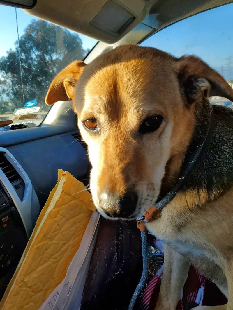 Tango & Cash!! thumbnail 3