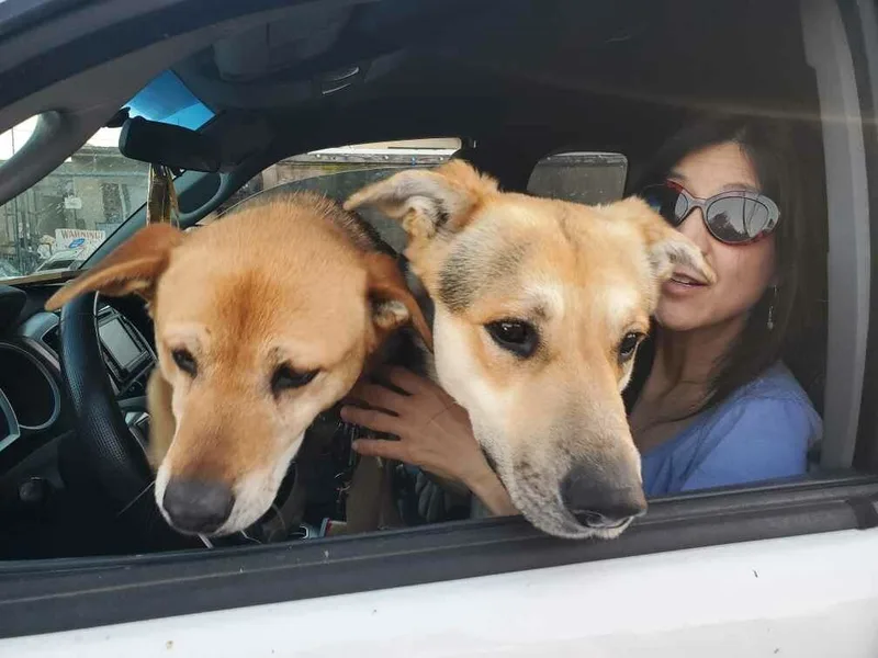 Tango & Cash!! thumbnail 4