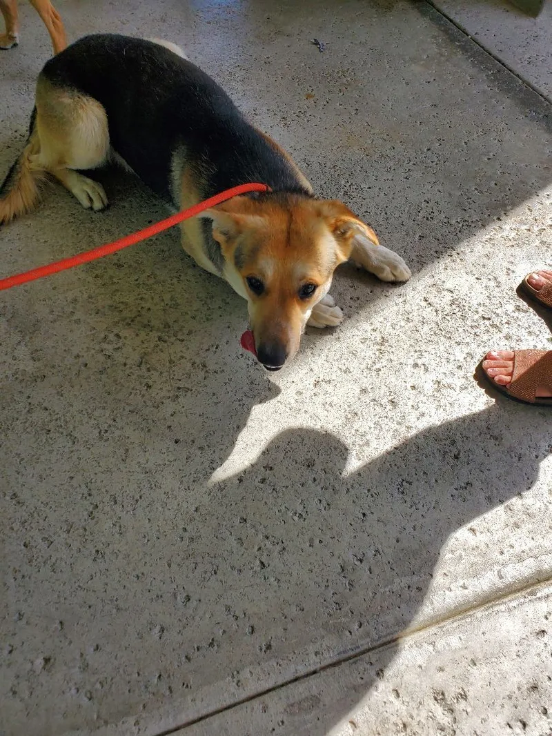 Tango & Cash!! thumbnail 5