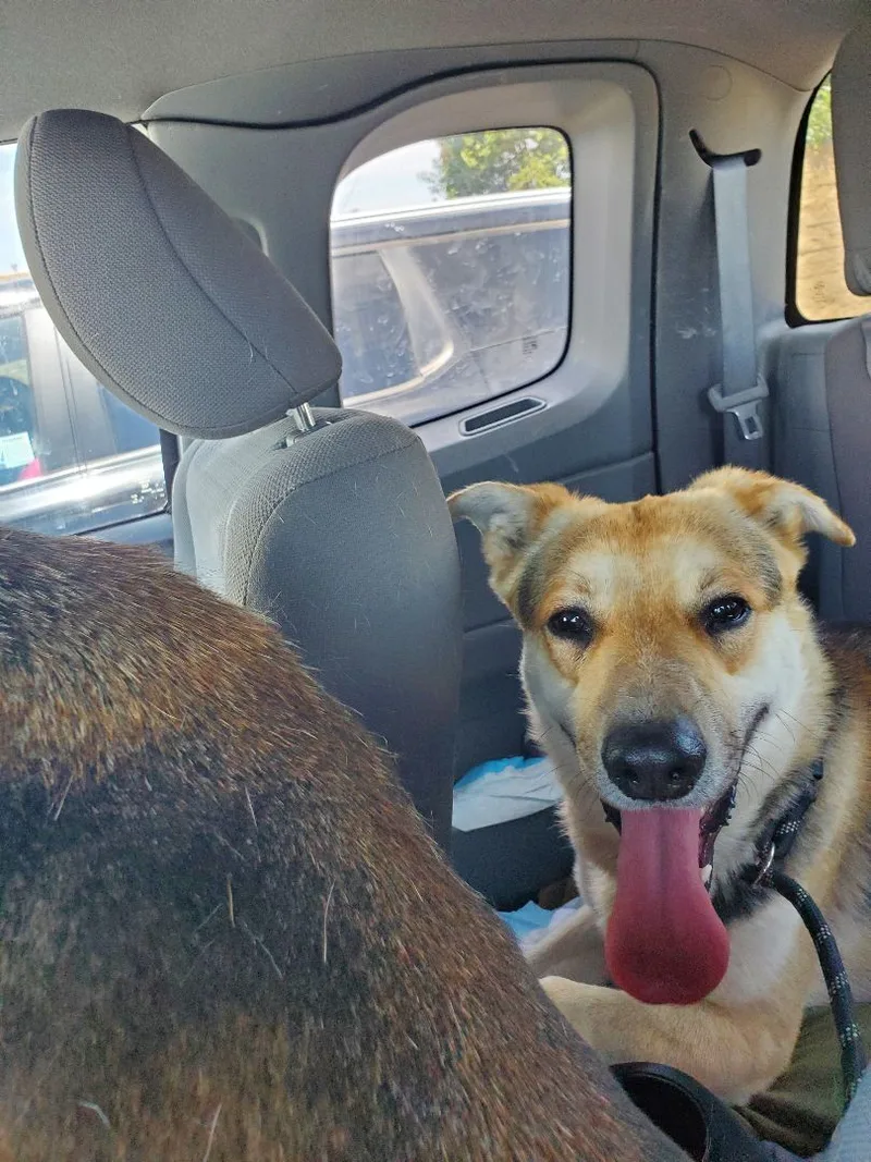 Tango & Cash!! thumbnail 6