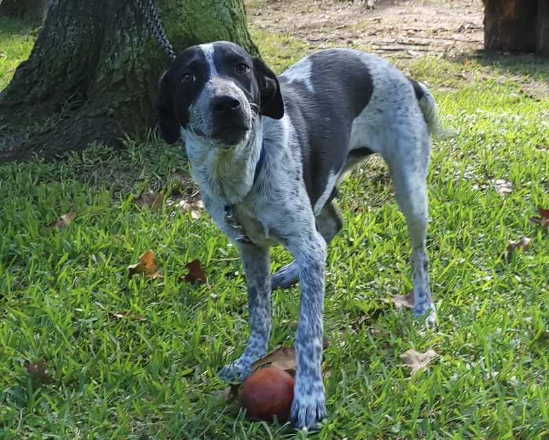 Princess thumbnail 2