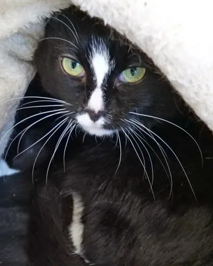 Pepper Marie thumbnail 2
