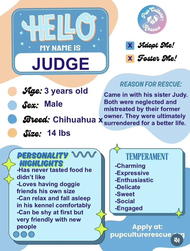 Judge thumbnail 3