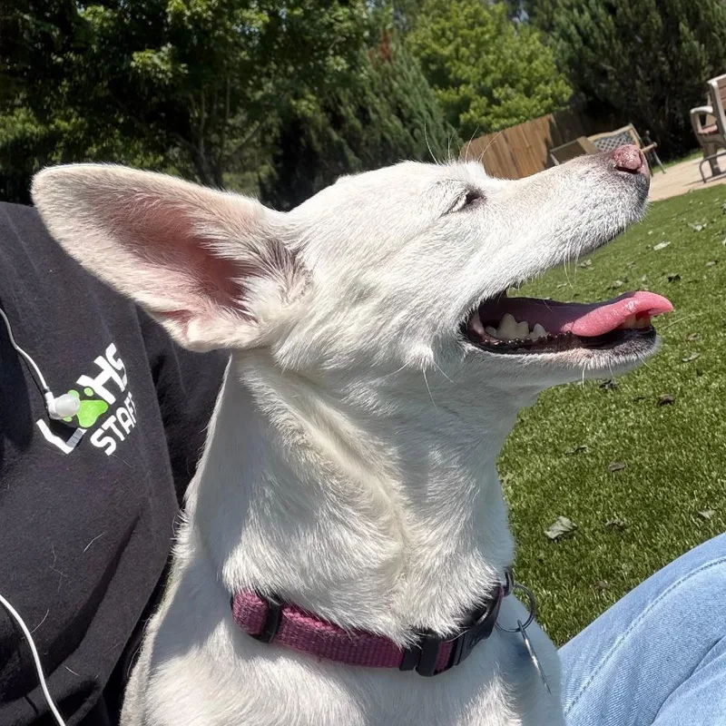 Chloe