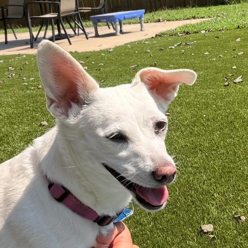 Chloe thumbnail 4