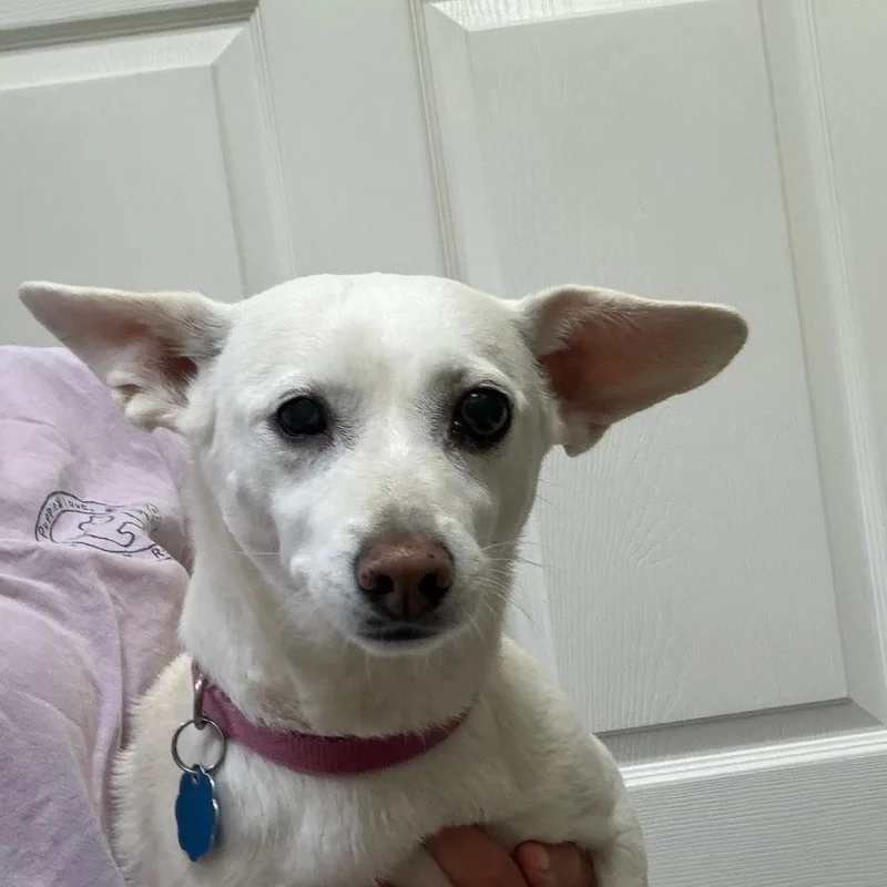 Chloe thumbnail 6