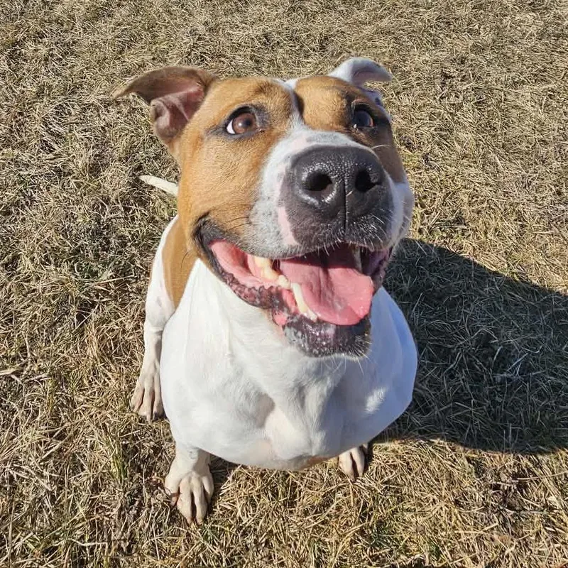 Princess thumbnail 2