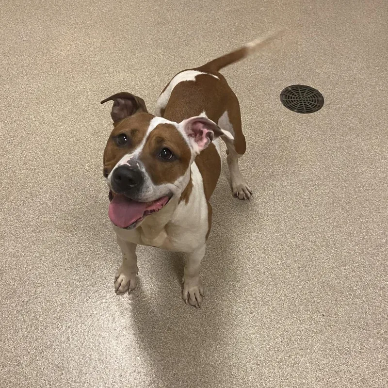 Princess thumbnail 4