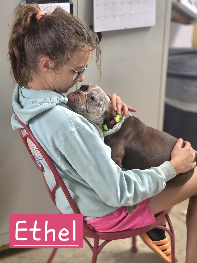 Ethel thumbnail 2