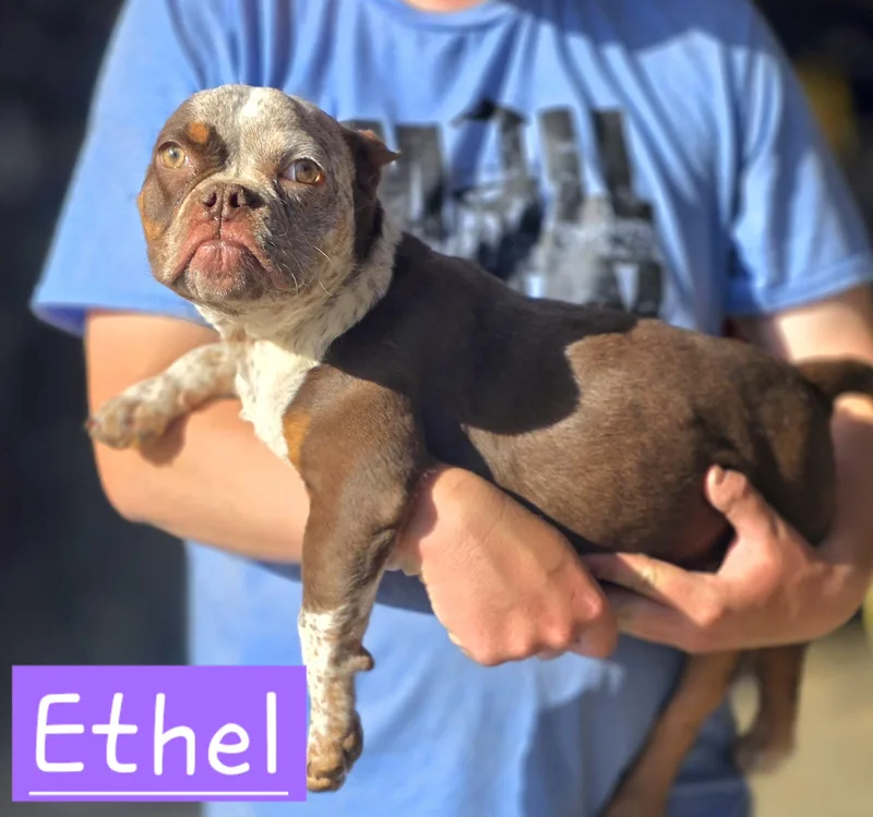 Ethel thumbnail 3