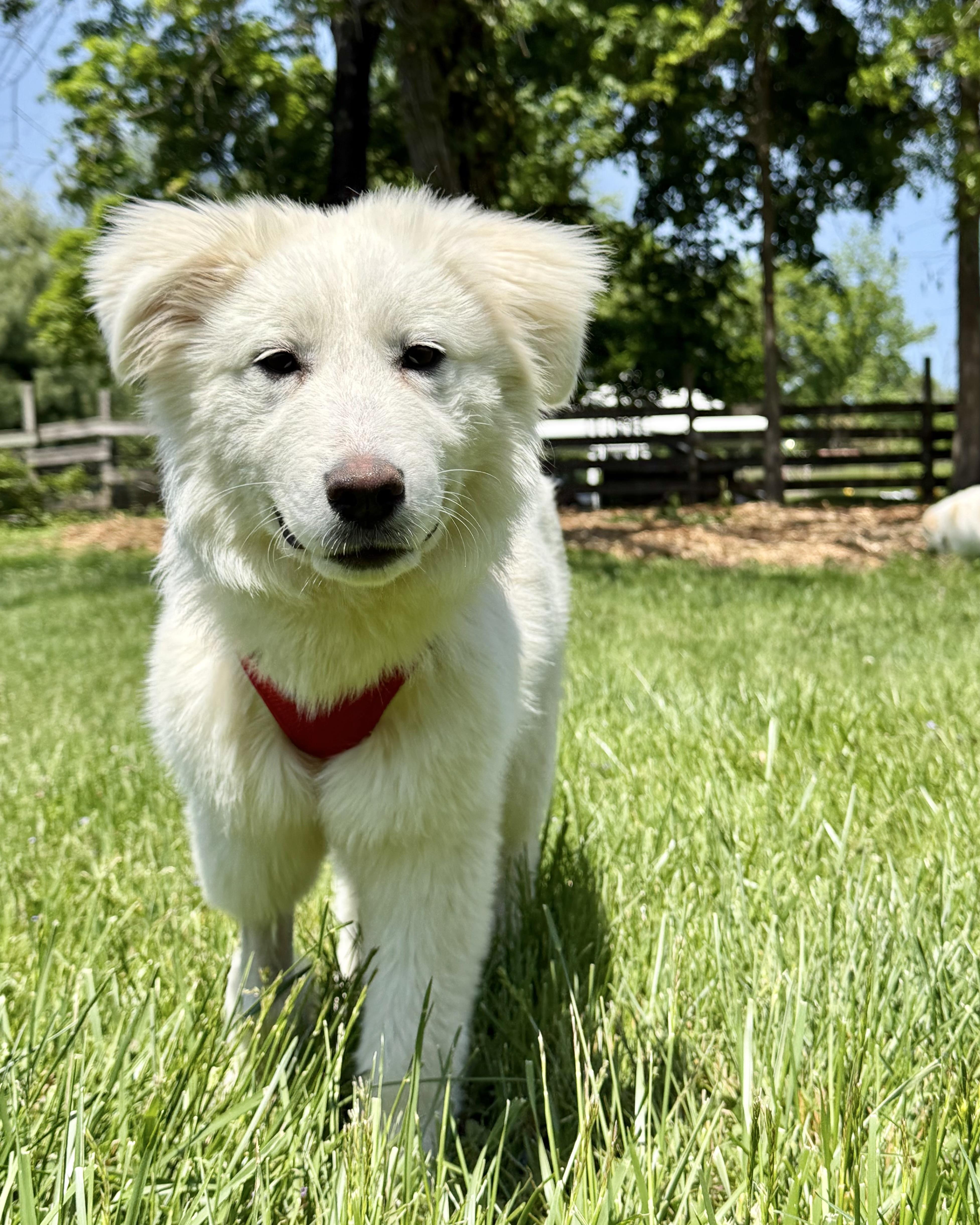 White Sand Beach thumbnail 3