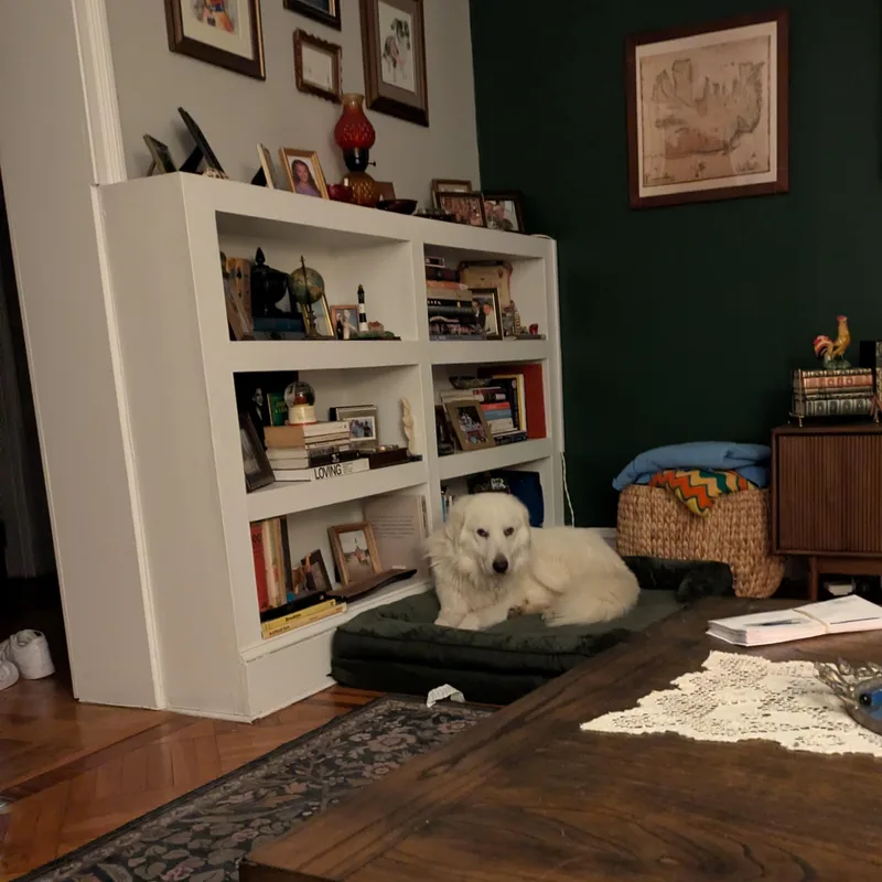 Sammy Sweetheart thumbnail 5