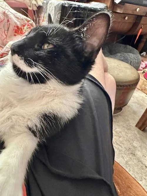 Stashe Napa thumbnail 2