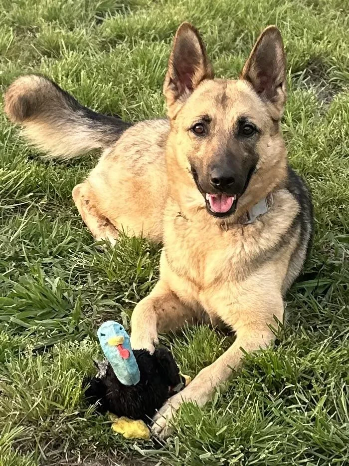 Macy Mae thumbnail 2