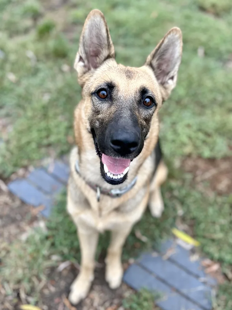 Macy Mae thumbnail 3