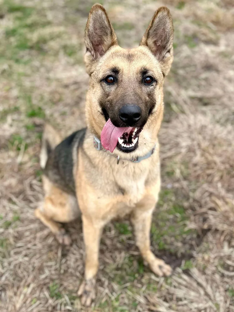 Macy Mae thumbnail 4