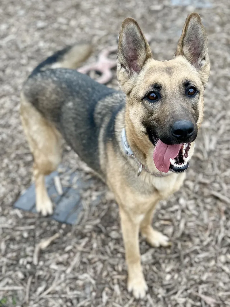 Macy Mae thumbnail 5