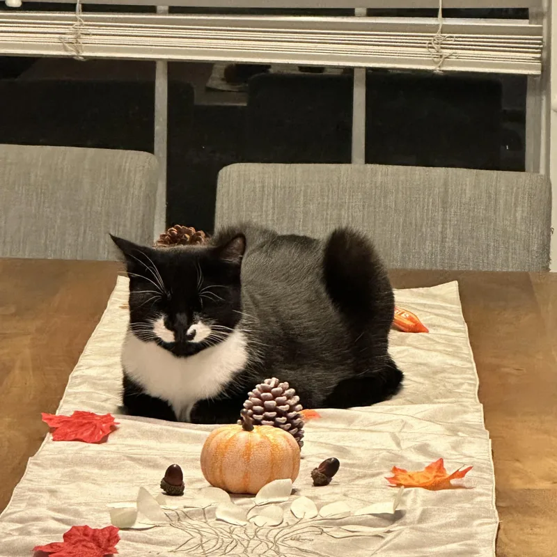 Cookie thumbnail 5