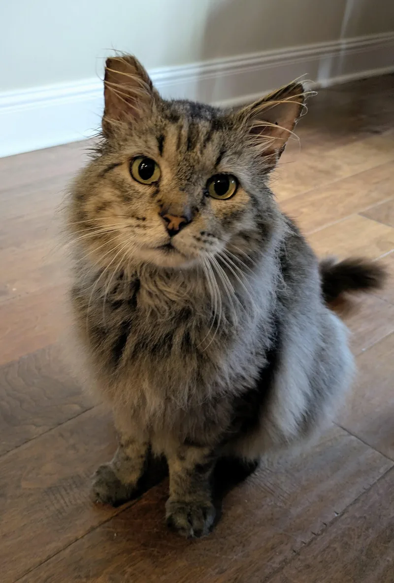 Theodore